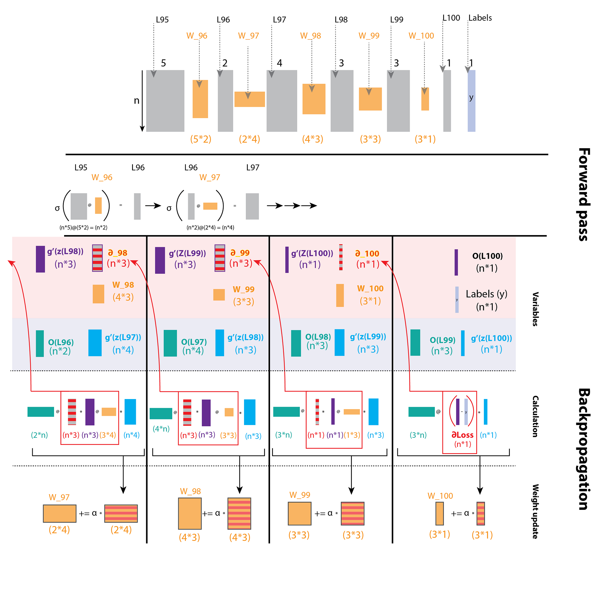 Full diagram of the forward pass and backpropagation over a batch of n instances, listing every variable with its shape, the calculations, and the weight update