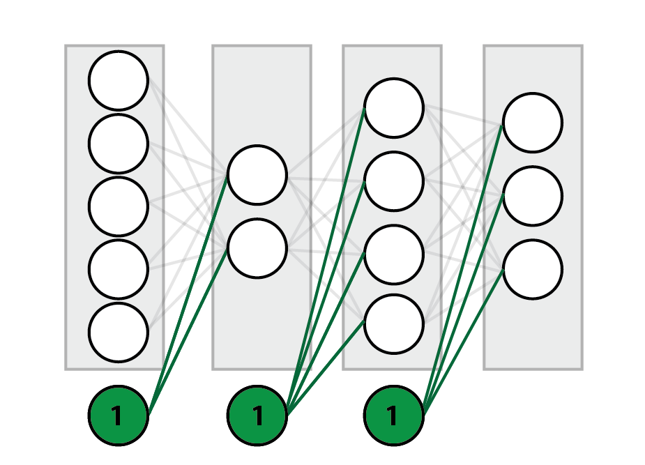 Diagram of a network with a bias neuron appended to each layer, connected only to the next layer